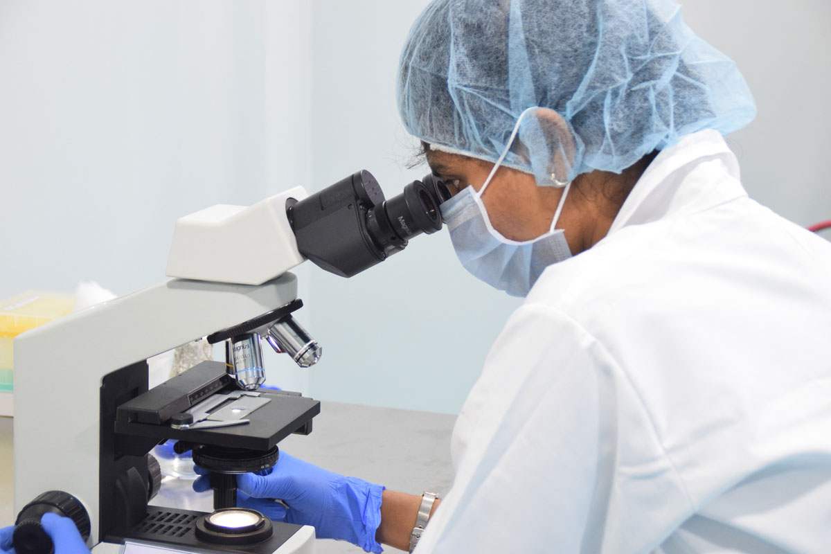 Affigenix Biochemistry Kits Molecular Diagnostic Kits Rapid test